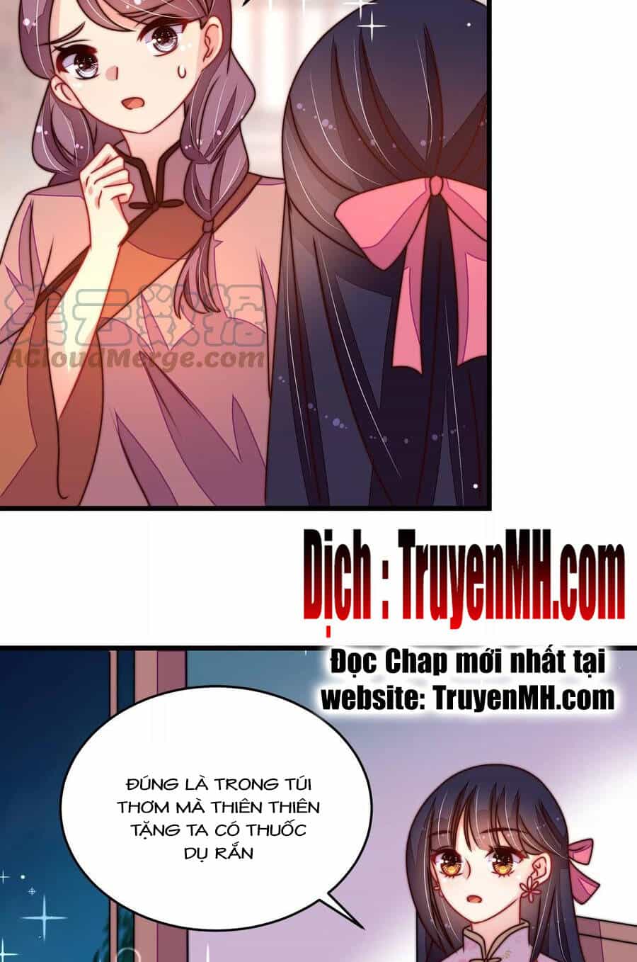 Ngày Nào Thiếu Soái Cũng Ghen - Chương 480 - ảnh 13