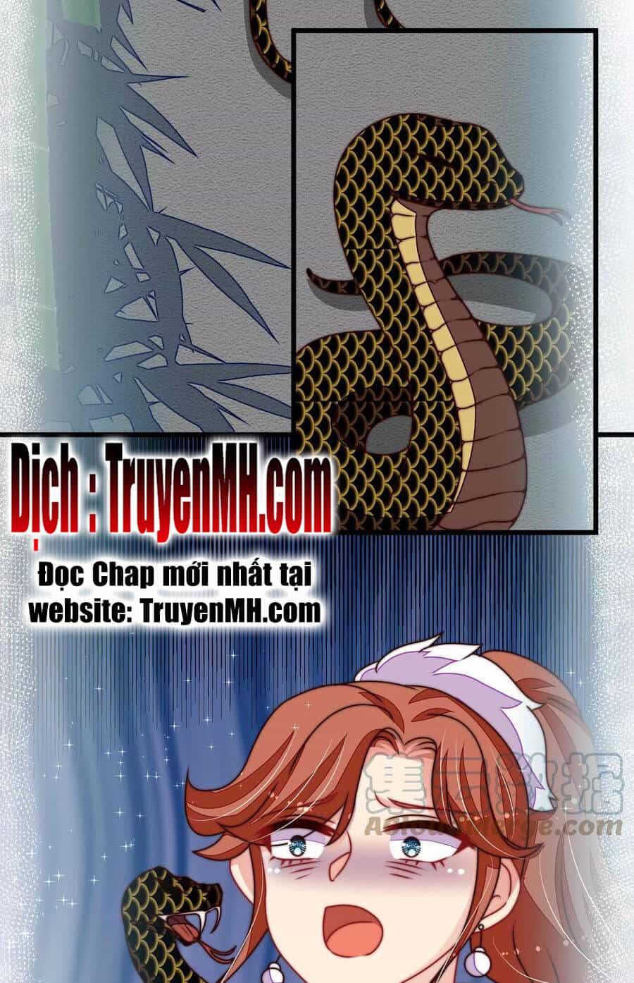Ngày Nào Thiếu Soái Cũng Ghen - Chương 482 - ảnh 12