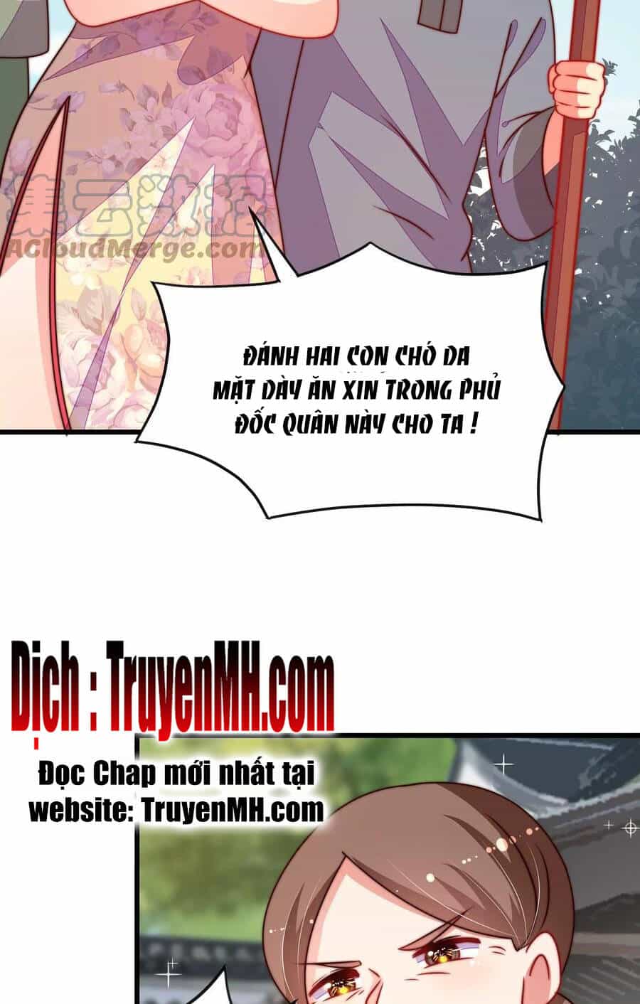 Ngày Nào Thiếu Soái Cũng Ghen - Chương 484 - ảnh 6