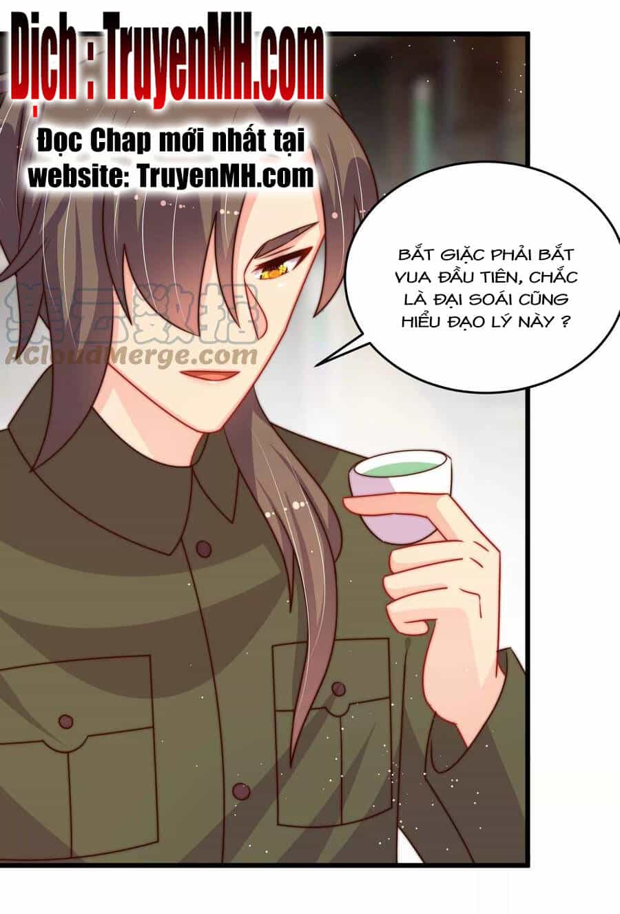 Ngày Nào Thiếu Soái Cũng Ghen - Chương 489 - ảnh 2