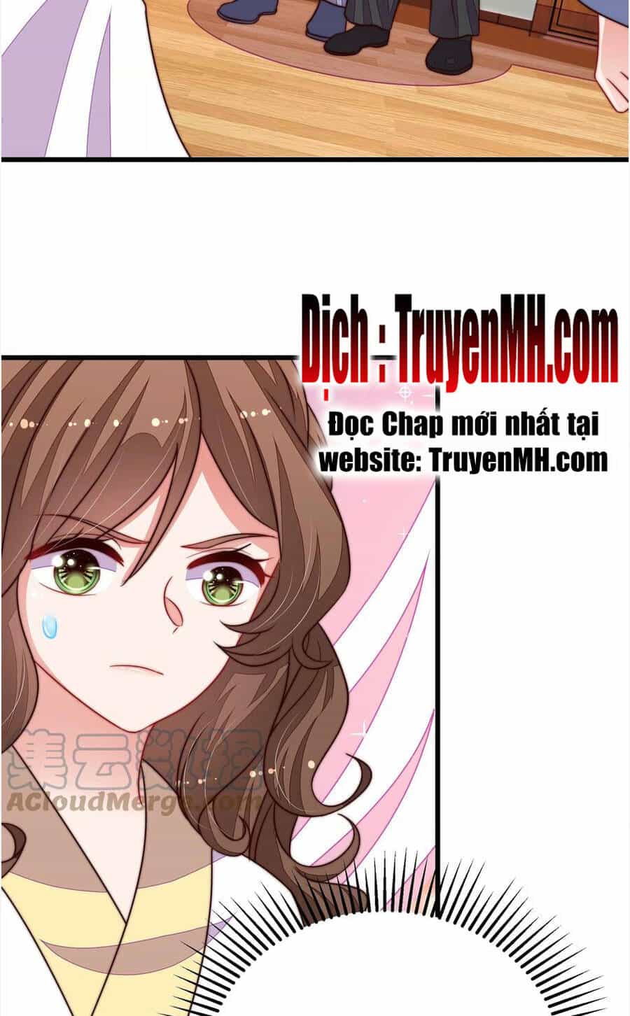 Ngày Nào Thiếu Soái Cũng Ghen - Chương 596 - ảnh 6