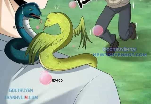 Ngày Tôi Sinh Ra, Bách Quỷ Dạ Hành, Tuyết Thi Hộ Đạo - Chương 602 - ảnh 20