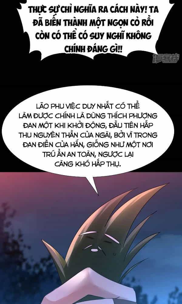 Nghịch Chuyển Tiên Đồ - Chương 216 - ảnh 2