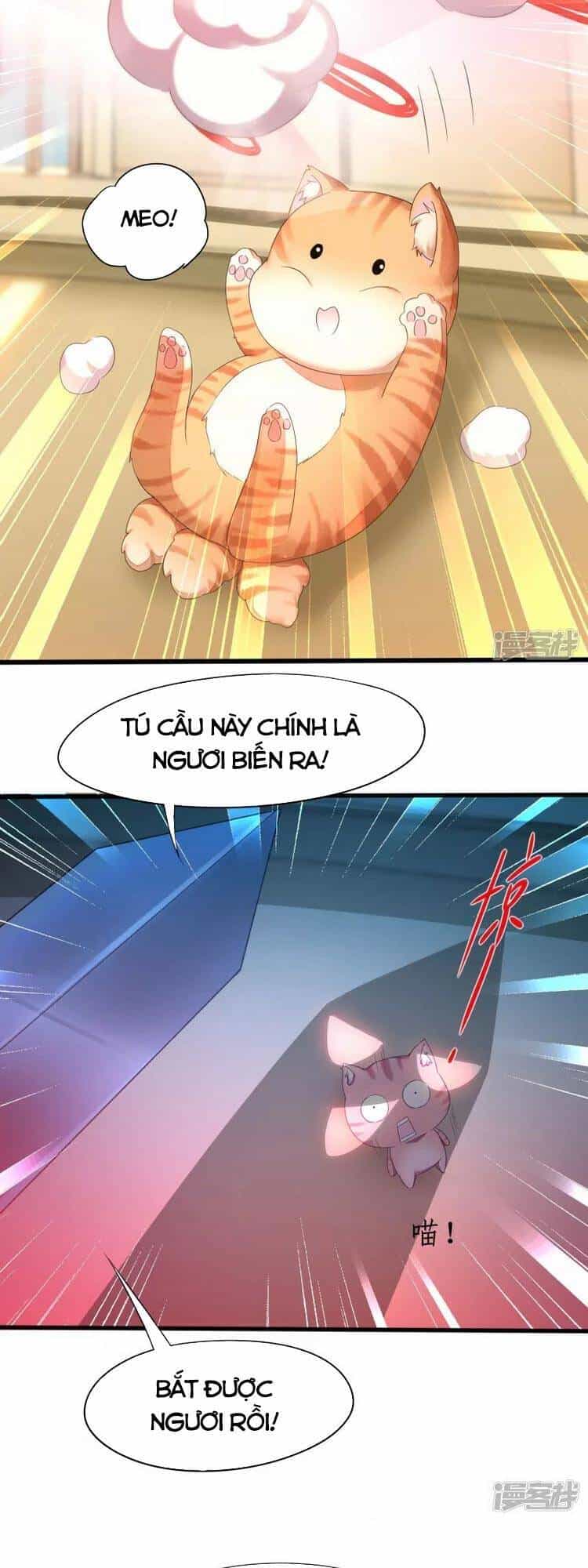 Nghịch Chuyển Tiên Đồ - Chương 231 - ảnh 20