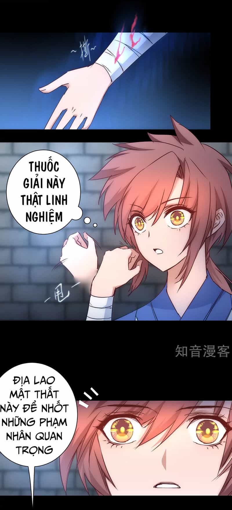 Nghịch Chuyển Tiên Đồ - Chương 48 - ảnh 6