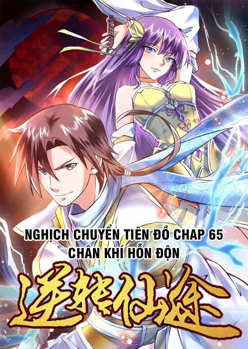 Nghịch Chuyển Tiên Đồ - Chương 65 - ảnh 1