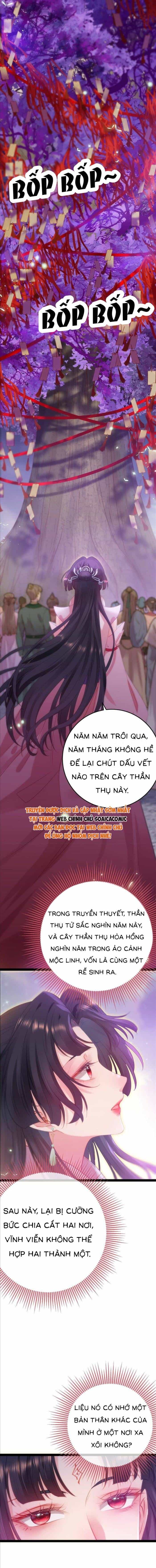 Nghịch Đồ Muốn Ức Hiếp Sư Phụ Mỗi Ngày - Chương 126 - ảnh 6