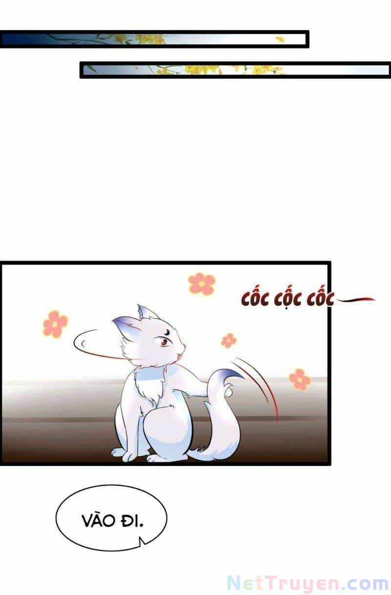Nghịch Đồ Tại Thượng - Chương 36 - ảnh 19