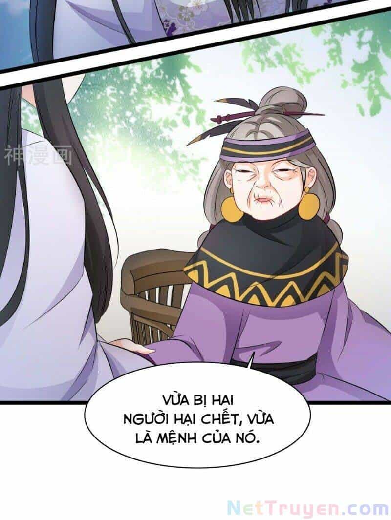 Nghịch Đồ Tại Thượng - Chương 45 - ảnh 4