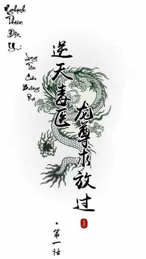 Nghịch Thiên Độc Y: Long Tôn Cầu Buông Ra - Chương 2 - ảnh 1