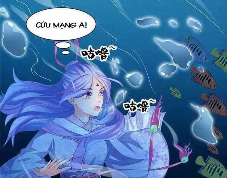 Nghịch Thiên Độc Y: Long Tôn Cầu Buông Ra - Chương 4 - ảnh 5