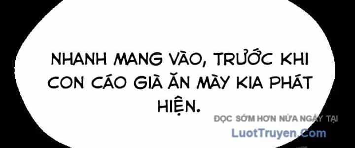 Ngoại Tôn Thiên Tài Của Nam Cung Thế Gia - Chương 81 - ảnh 331