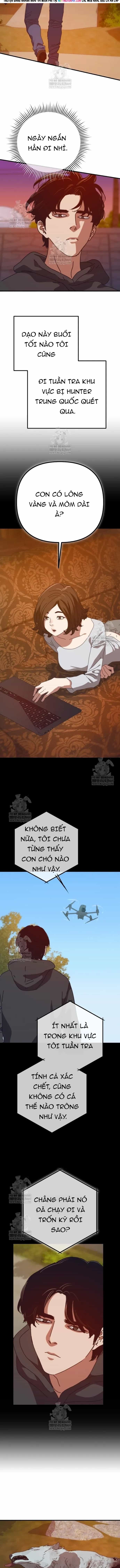 Ngôi Nhà Ẩn Ngày Tận Thế - Chương 81 - ảnh 12