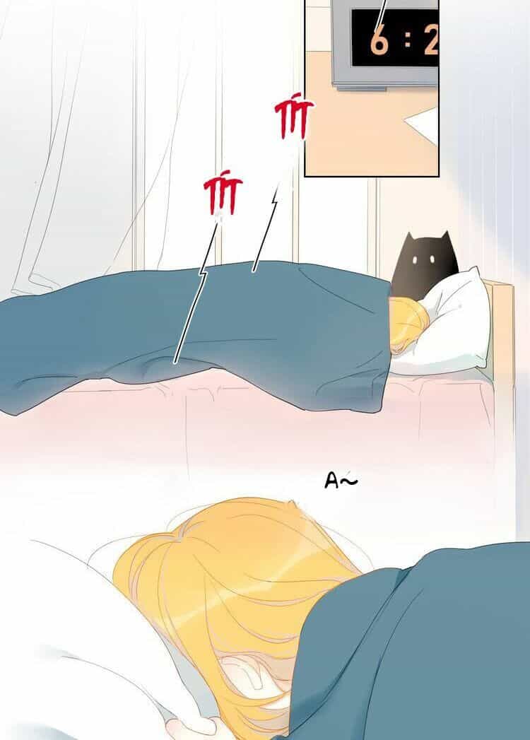 Ngôi Sao Cho Tôi - Chương 1 - ảnh 18