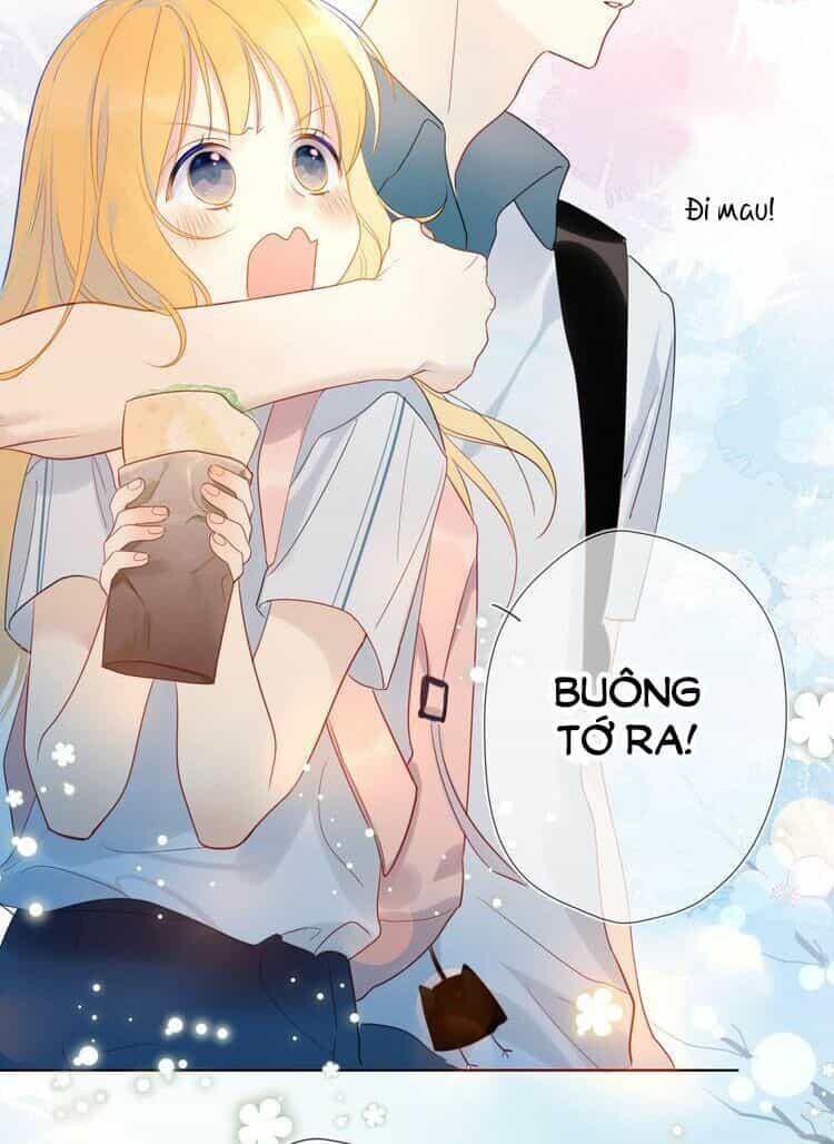 Ngôi Sao Cho Tôi - Chương 1 - ảnh 26