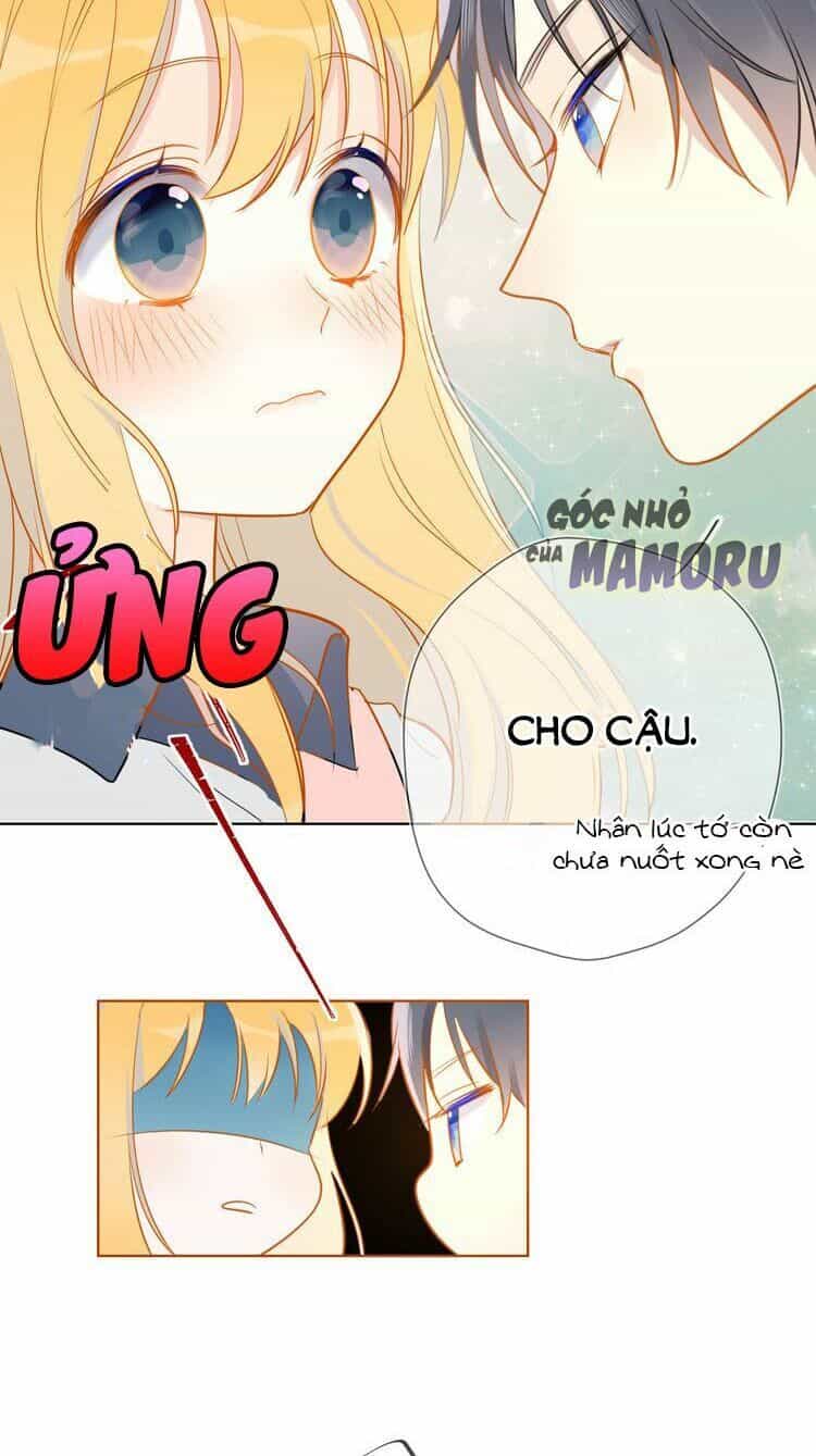 Ngôi Sao Cho Tôi - Chương 1 - ảnh 32