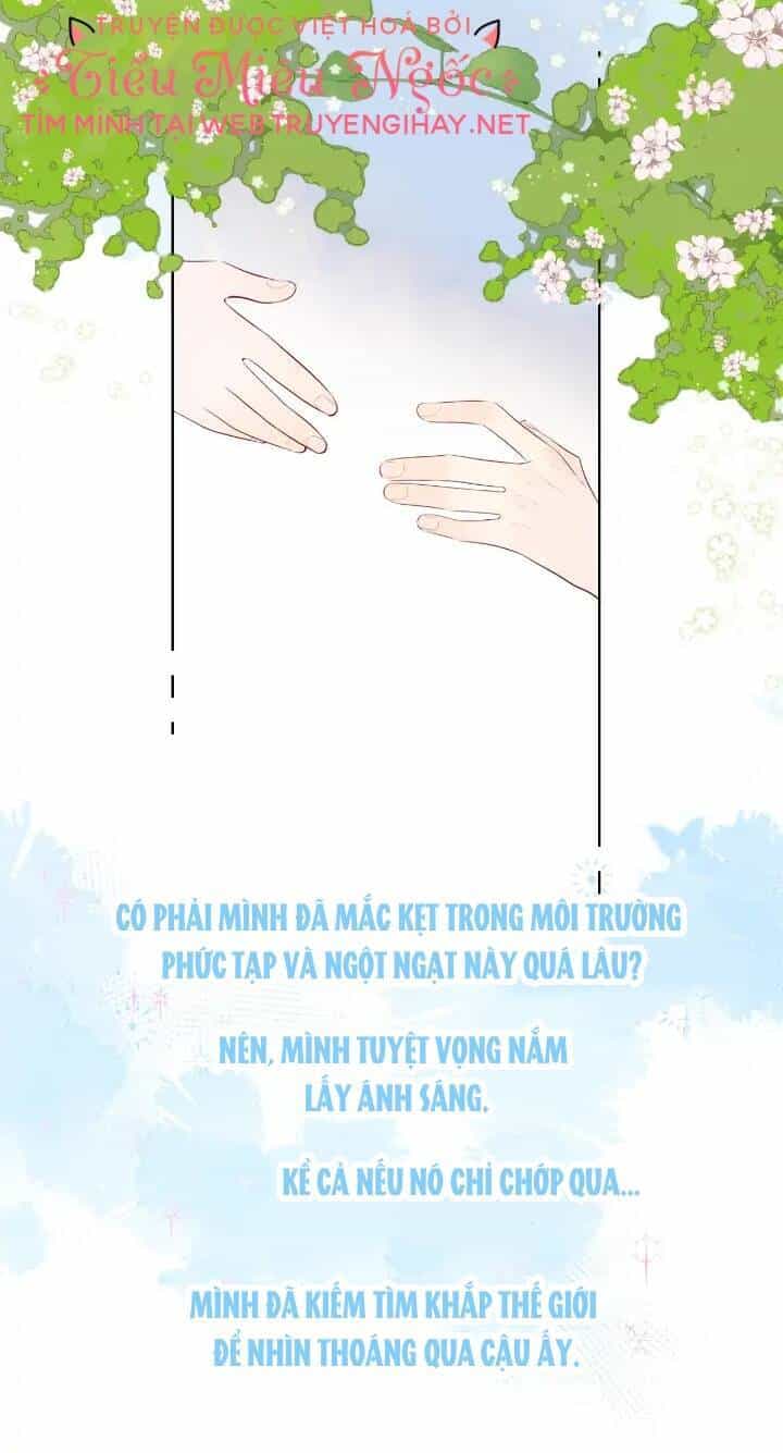 Ngôi Sao Cho Tôi - Chương 104 - ảnh 33