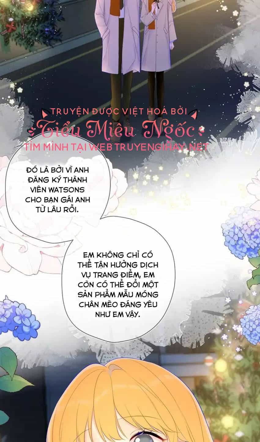 Ngôi Sao Cho Tôi - Chương 113 - ảnh 33