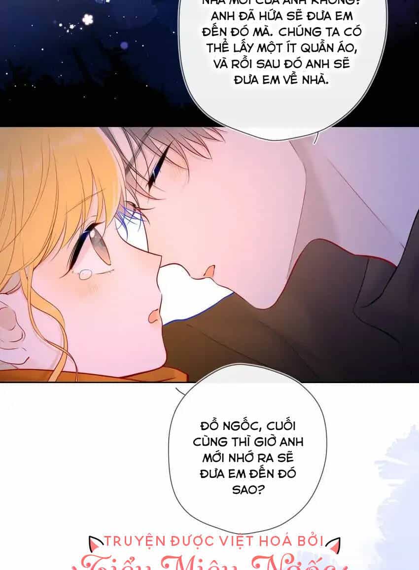 Ngôi Sao Cho Tôi - Chương 114 - ảnh 23