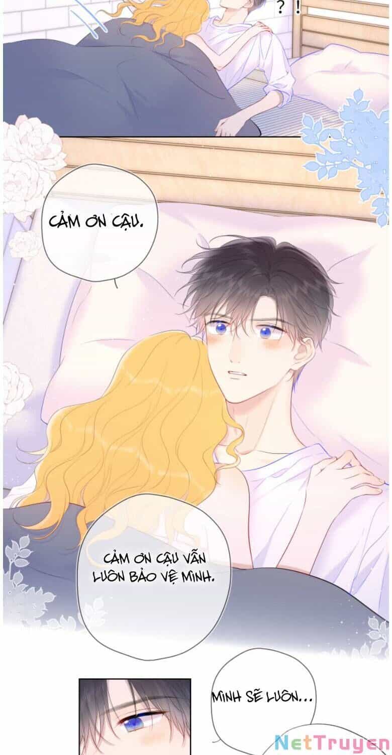 Ngôi Sao Cho Tôi - Chương 126 - ảnh 17