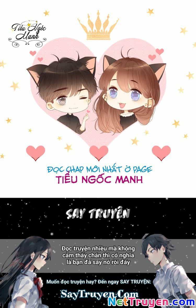 Ngôi Sao Cho Tôi - Chương 12 - ảnh 31
