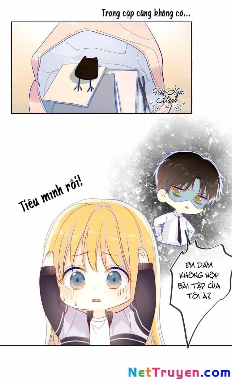 Ngôi Sao Cho Tôi - Chương 12 - ảnh 9