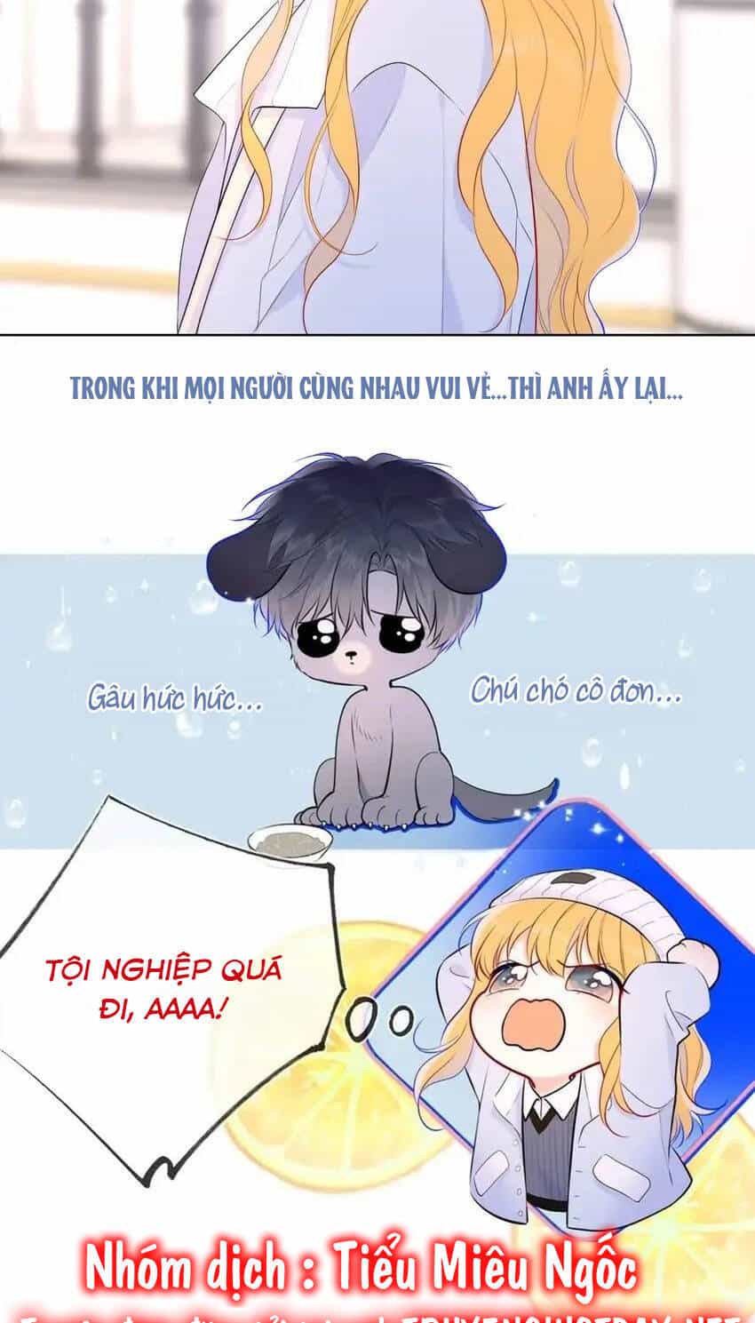 Ngôi Sao Cho Tôi - Chương 132 - ảnh 21