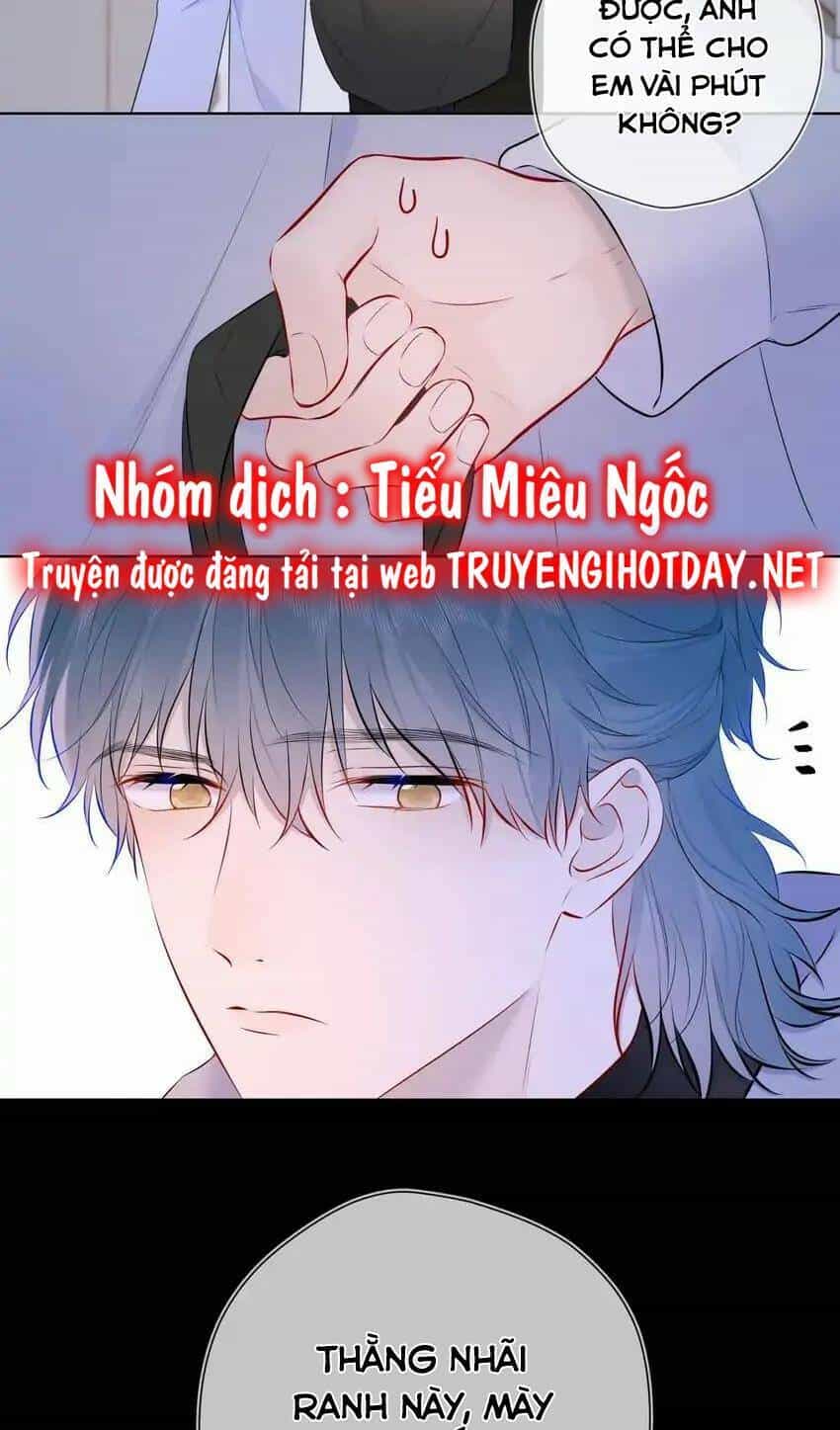 Ngôi Sao Cho Tôi - Chương 135 - ảnh 8