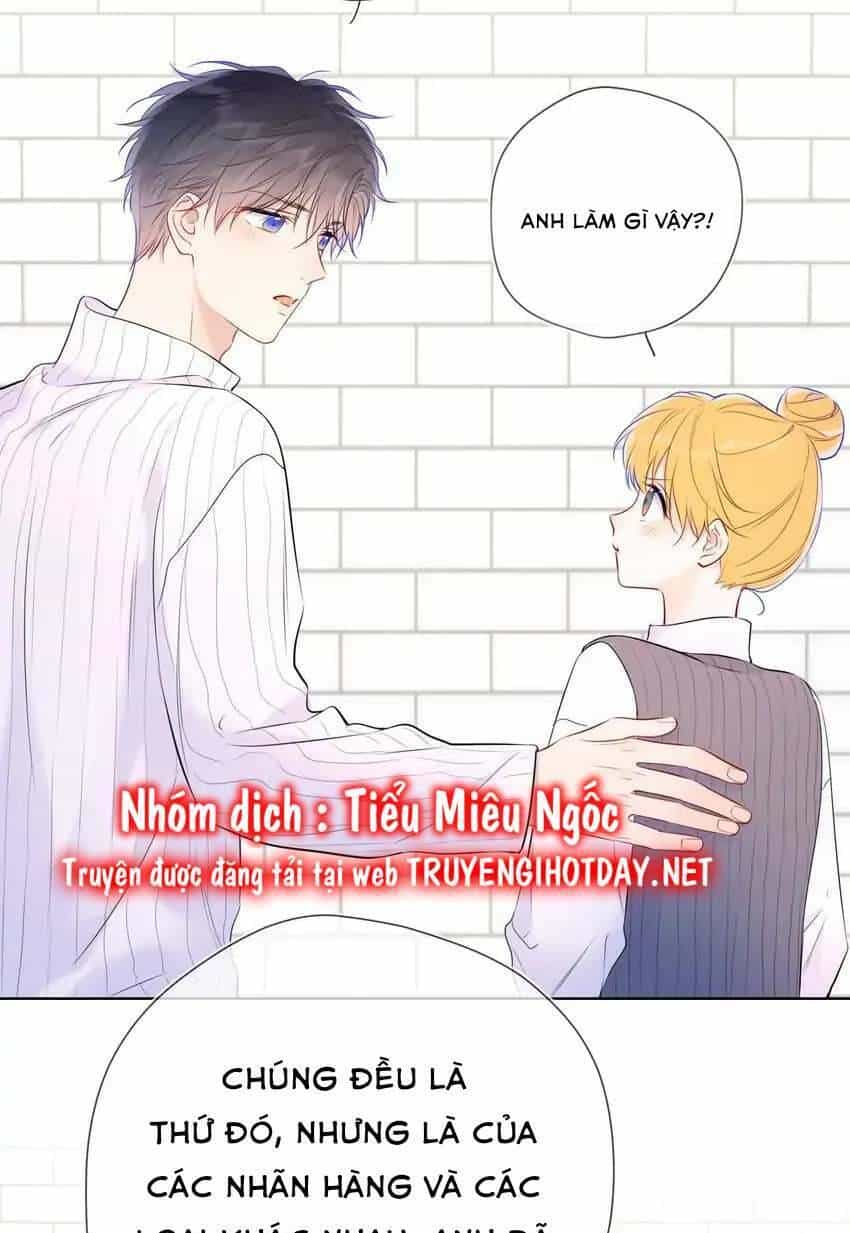 Ngôi Sao Cho Tôi - Chương 136 - ảnh 21