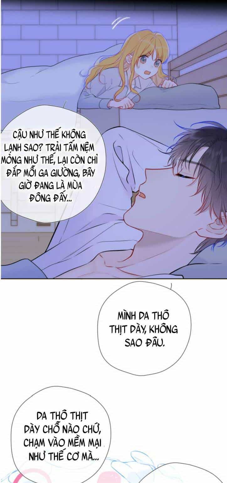 Ngôi Sao Cho Tôi - Chương 137 - ảnh 13