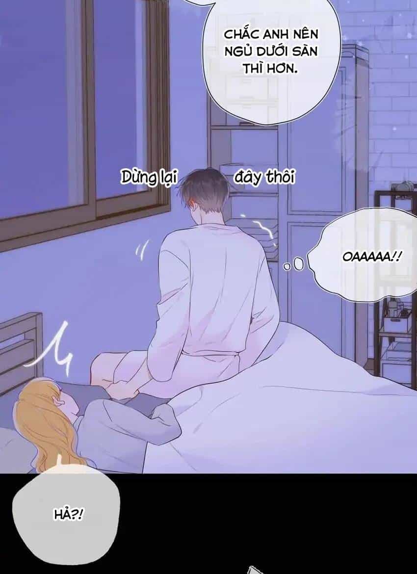 Ngôi Sao Cho Tôi - Chương 138 - ảnh 16