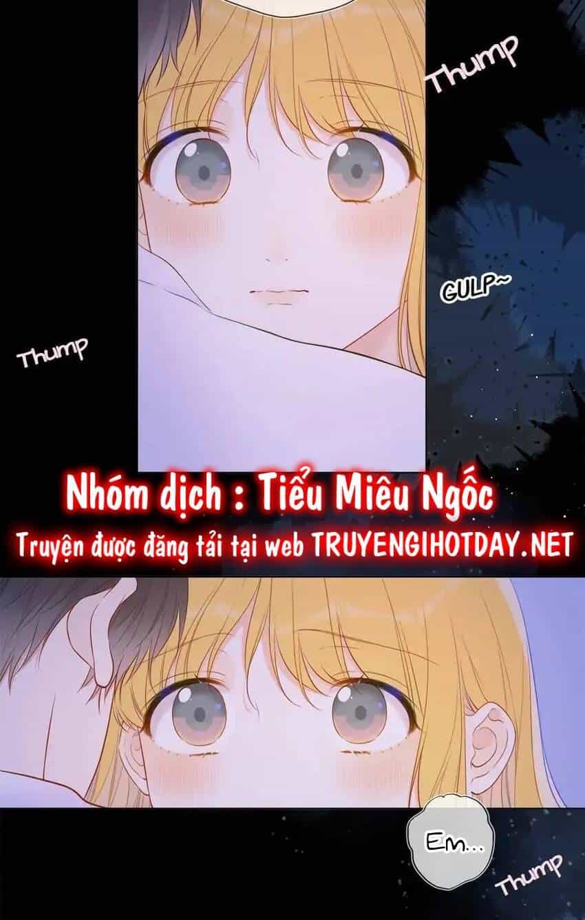 Ngôi Sao Cho Tôi - Chương 138 - ảnh 35