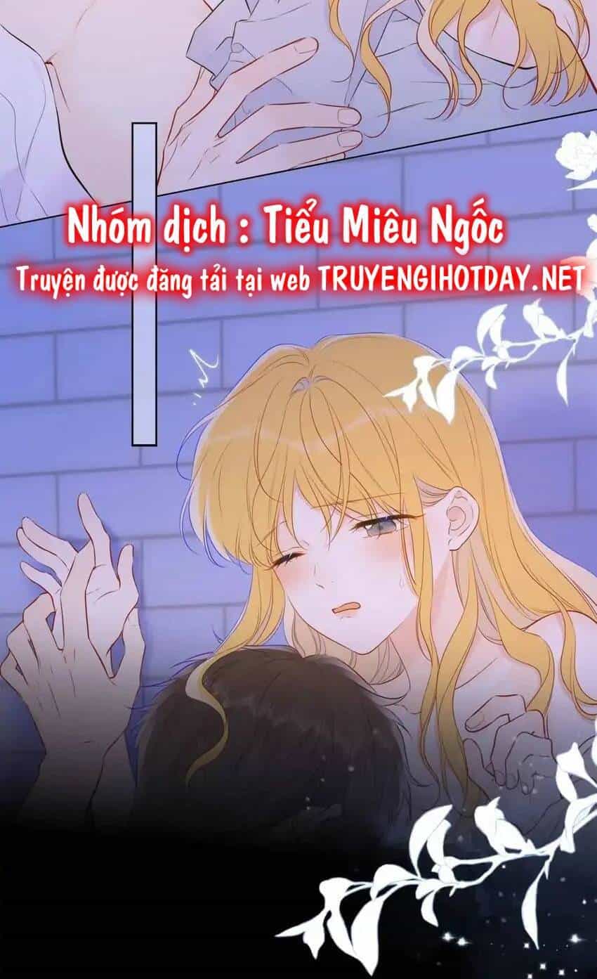 Ngôi Sao Cho Tôi - Chương 138 - ảnh 39