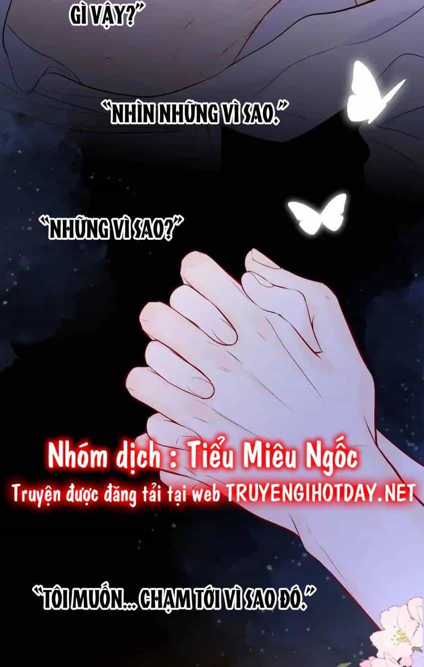 Ngôi Sao Cho Tôi - Chương 138 - ảnh 42