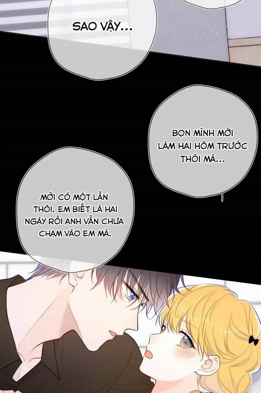 Ngôi Sao Cho Tôi - Chương 142 - ảnh 16
