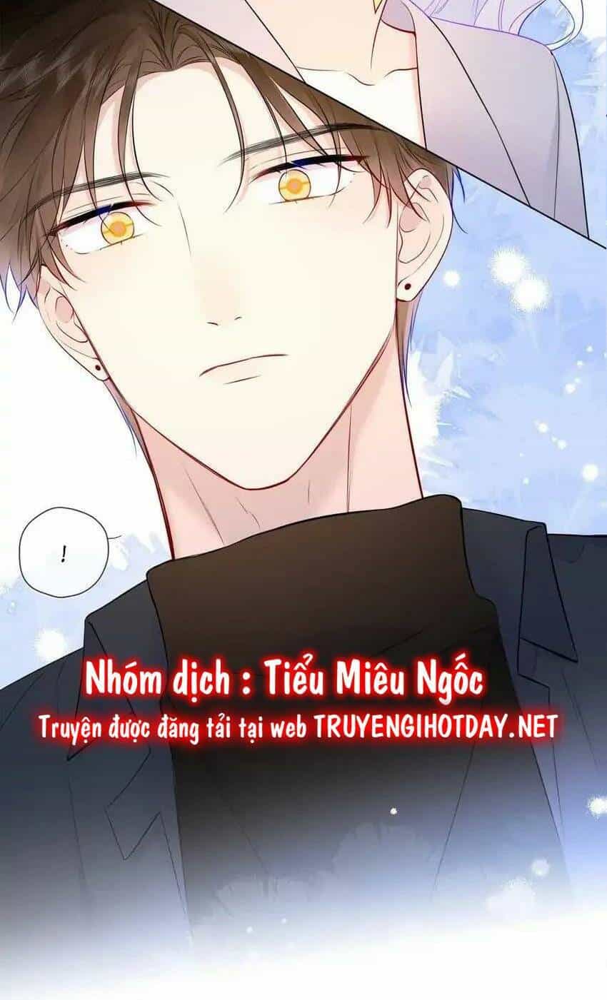 Ngôi Sao Cho Tôi - Chương 142 - ảnh 35