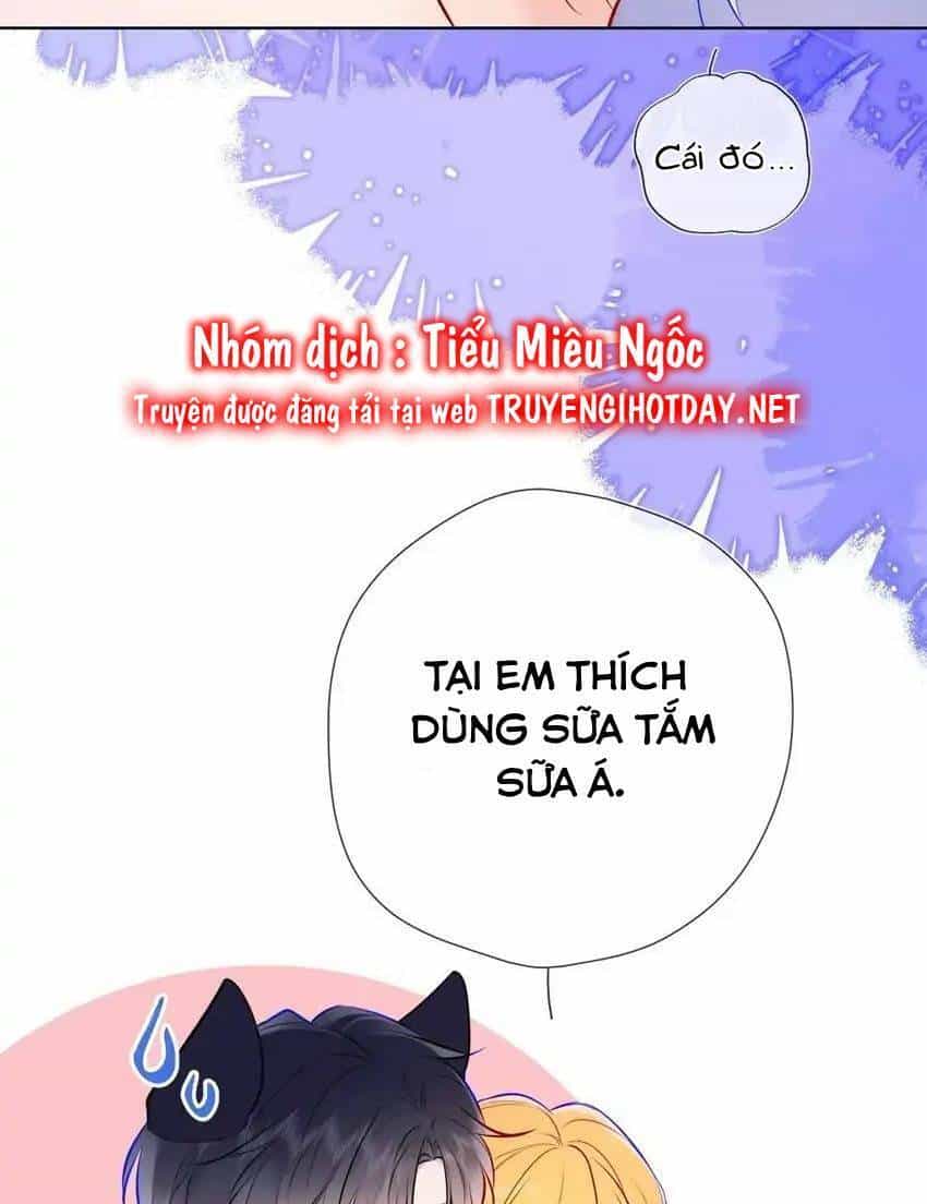 Ngôi Sao Cho Tôi - Chương 144 - ảnh 23