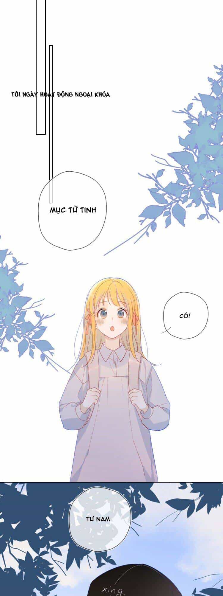 Ngôi Sao Cho Tôi - Chương 14 - ảnh 15