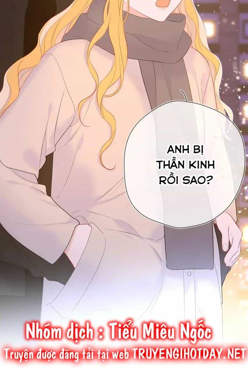 Ngôi Sao Cho Tôi - Chương 148 - ảnh 24