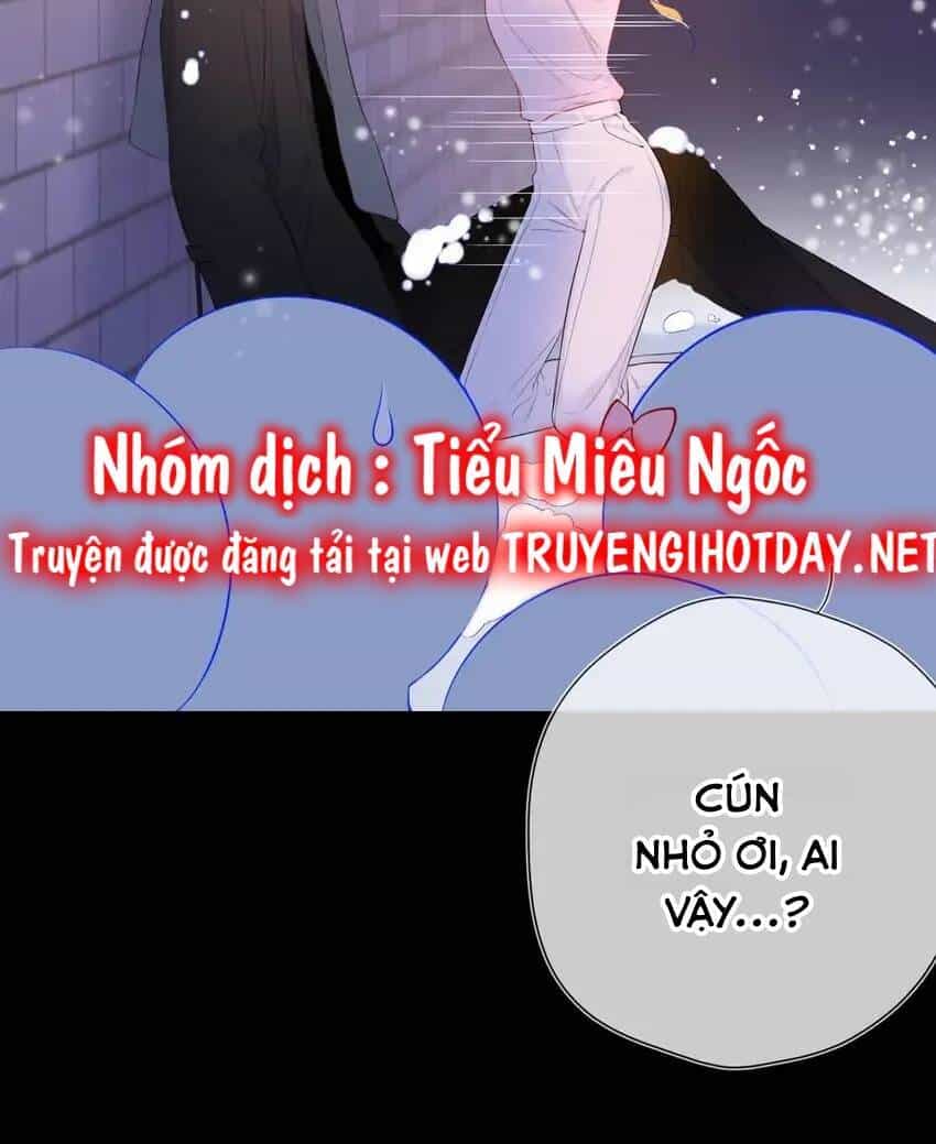 Ngôi Sao Cho Tôi - Chương 148 - ảnh 5