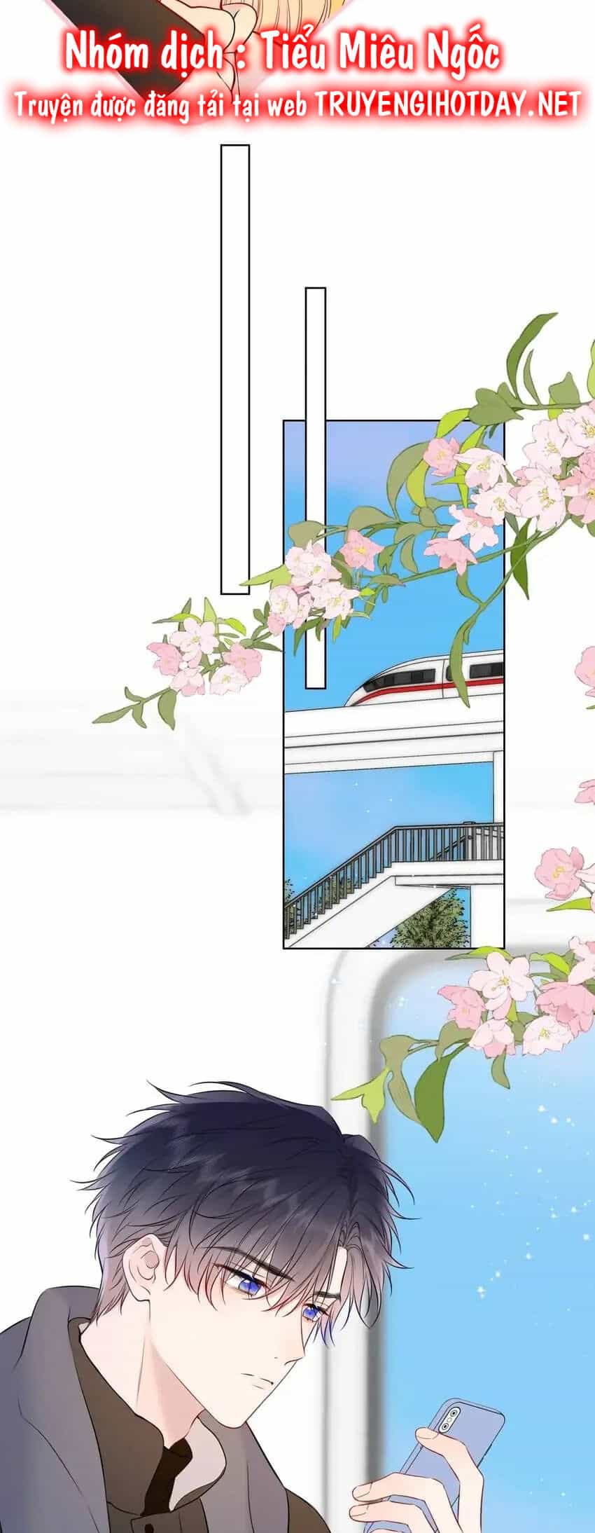 Ngôi Sao Cho Tôi - Chương 151 - ảnh 14