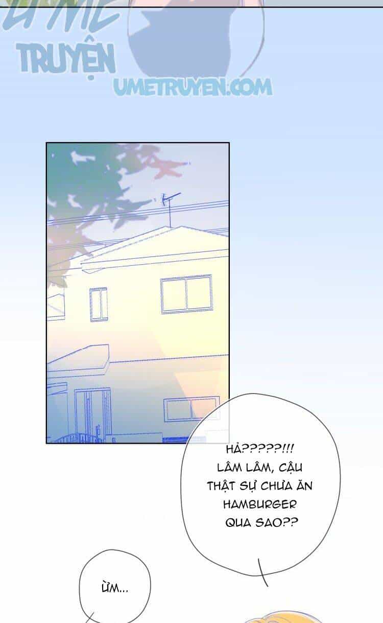 Ngôi Sao Cho Tôi - Chương 15 - ảnh 4