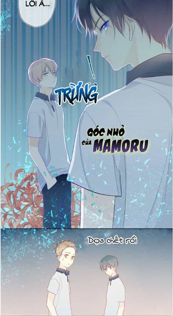 Ngôi Sao Cho Tôi - Chương 2 - ảnh 32