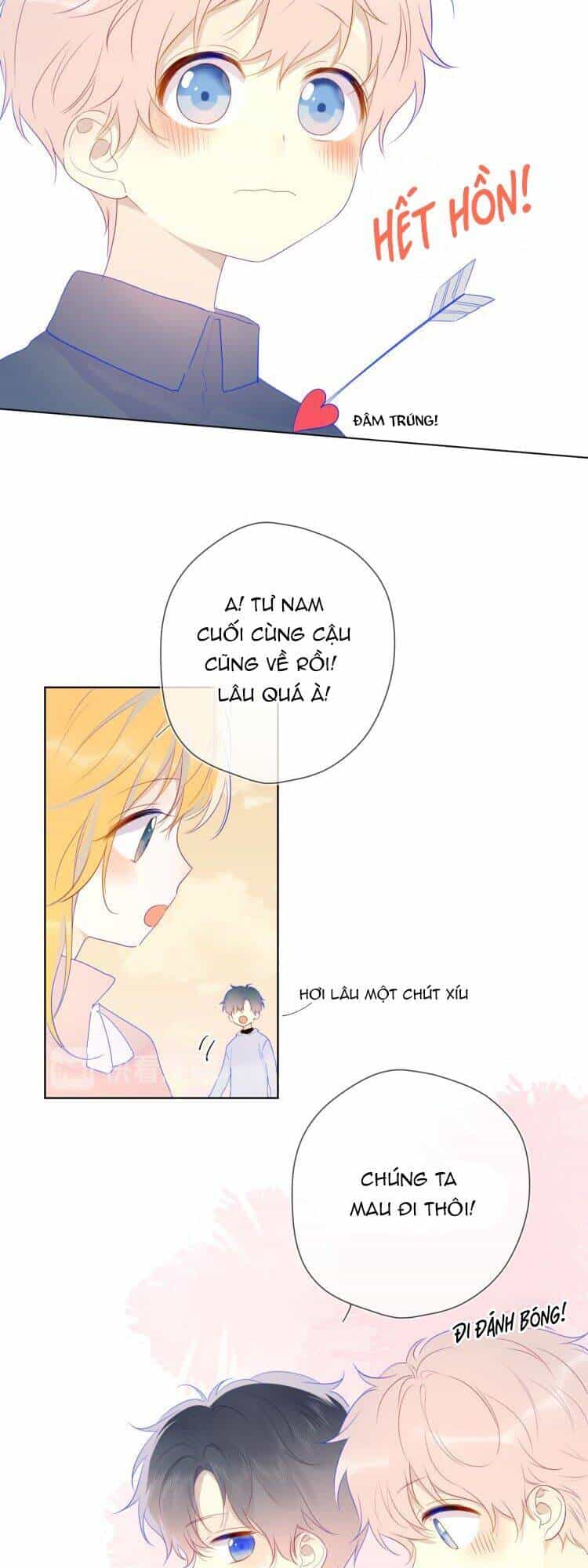 Ngôi Sao Cho Tôi - Chương 24 - ảnh 12