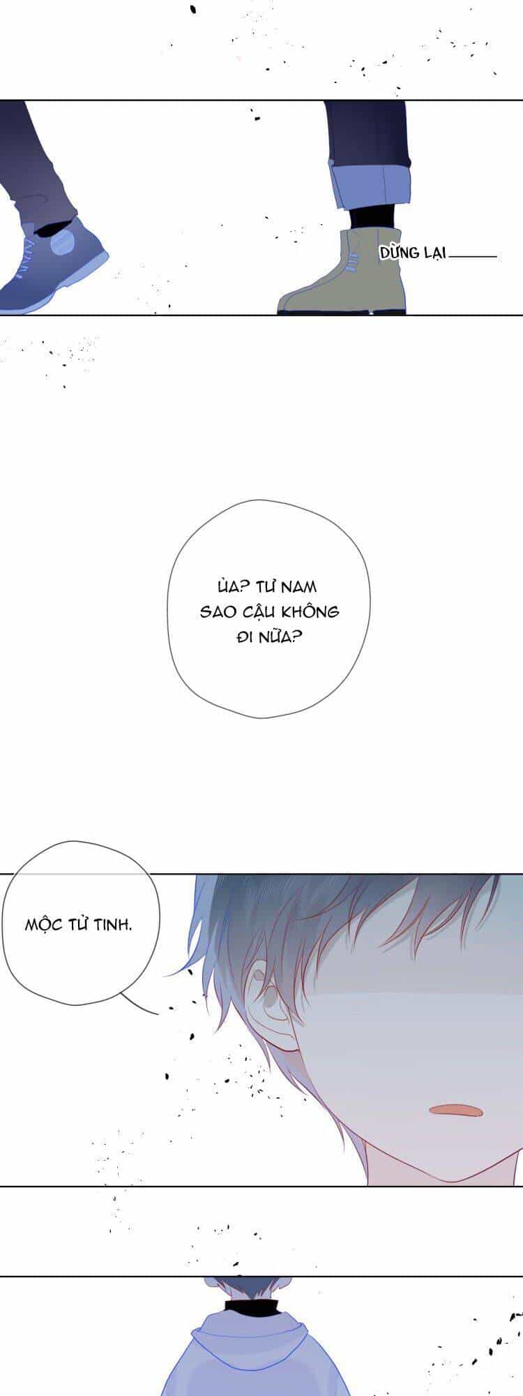 Ngôi Sao Cho Tôi - Chương 24 - ảnh 16