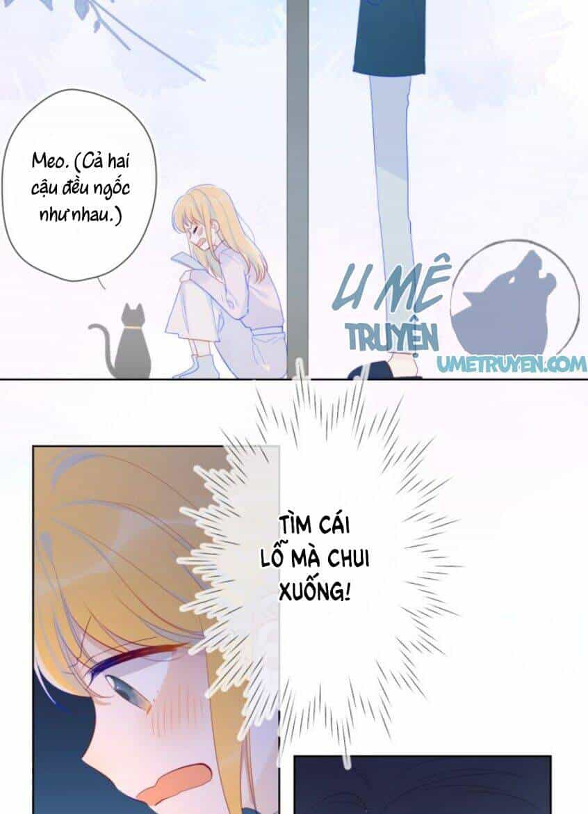 Ngôi Sao Cho Tôi - Chương 25 - ảnh 20