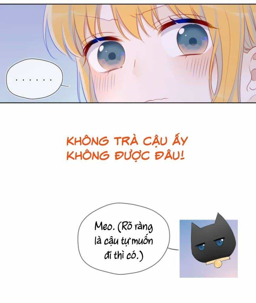 Ngôi Sao Cho Tôi - Chương 25 - ảnh 6