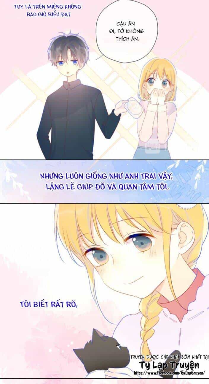 Ngôi Sao Cho Tôi - Chương 27 - ảnh 16