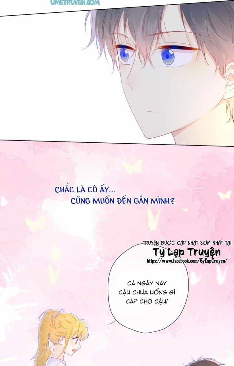 Ngôi Sao Cho Tôi - Chương 29 - ảnh 12