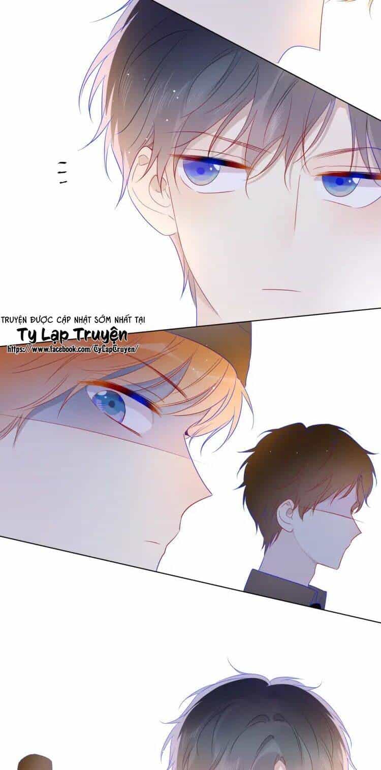 Ngôi Sao Cho Tôi - Chương 30 - ảnh 15